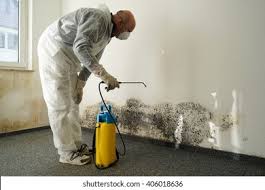 Mold Remediation for Rental Properties in Cloquet, MN